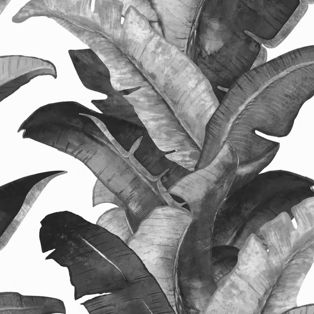 Black and white tropical banana leaf wall art for interior design.
