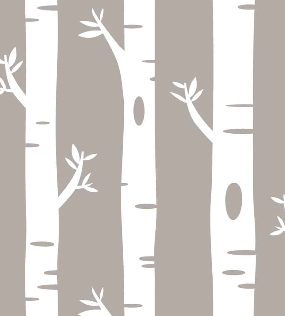 Kids wallpaper with birch trees in khaki and white for nursery decor.