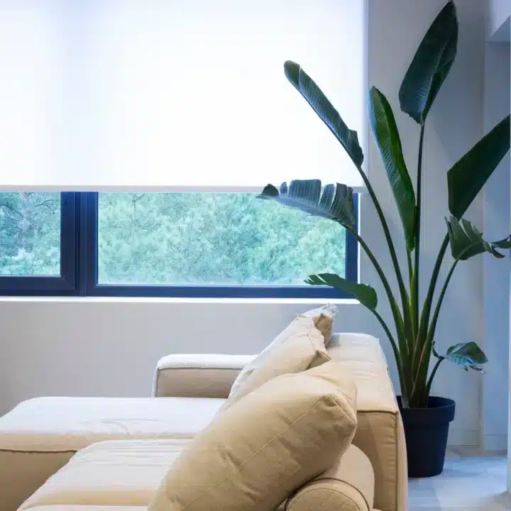 Sheer Fabric Roller Blind - White - Image 3