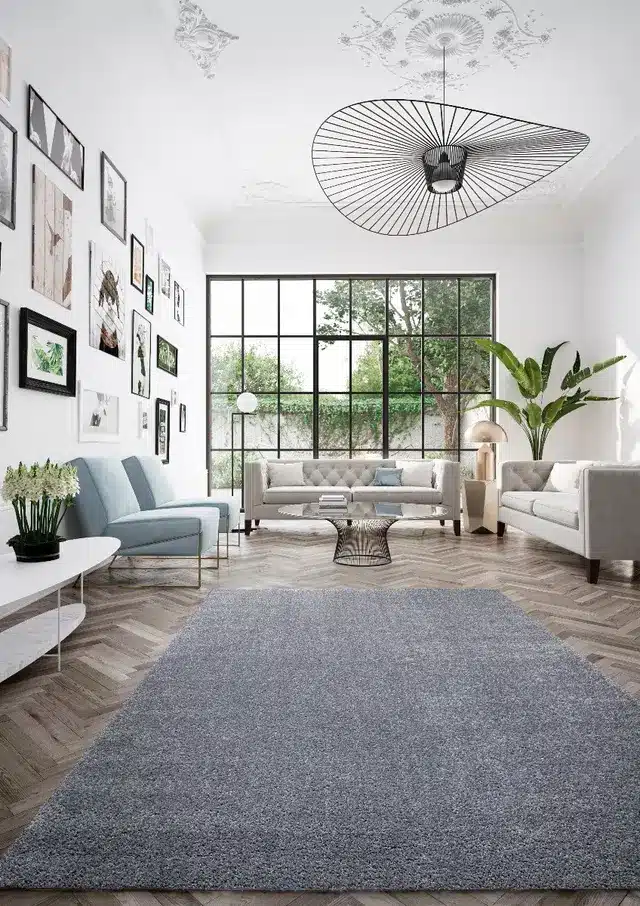 carpet covering lounge area
