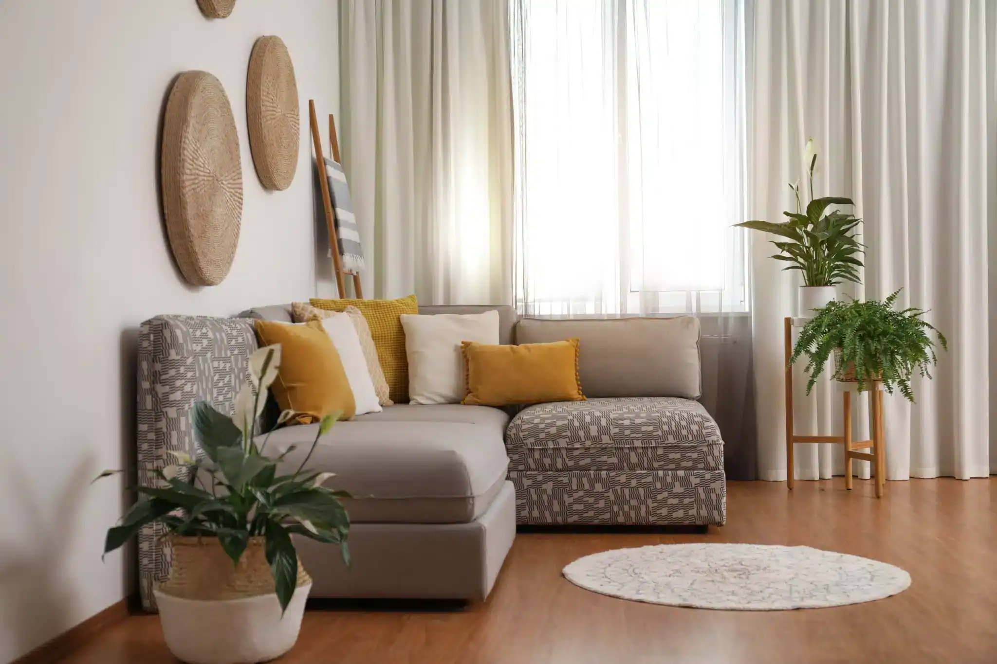 Stylish living room with curtains, plants, and decorative wall art.