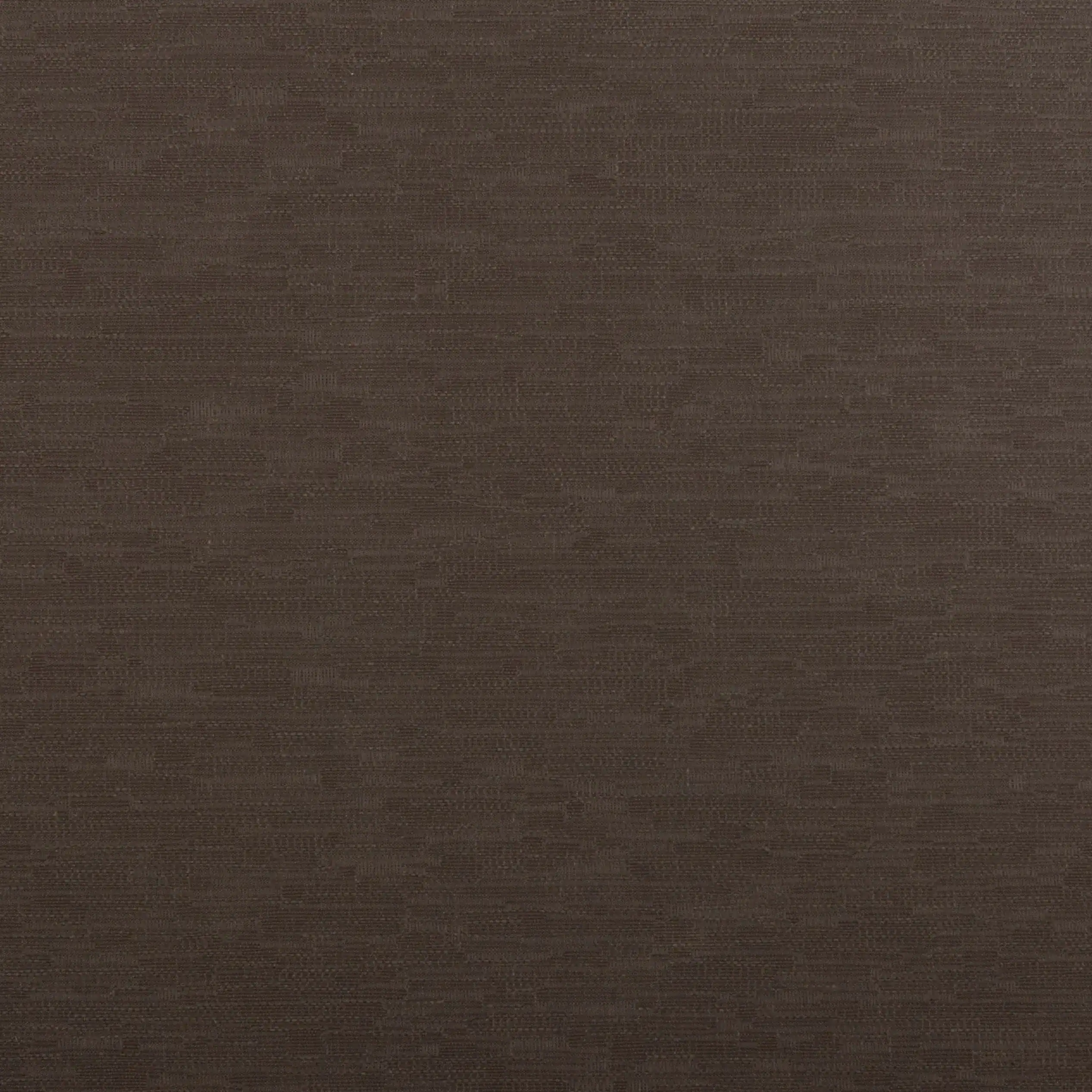 Cocoa