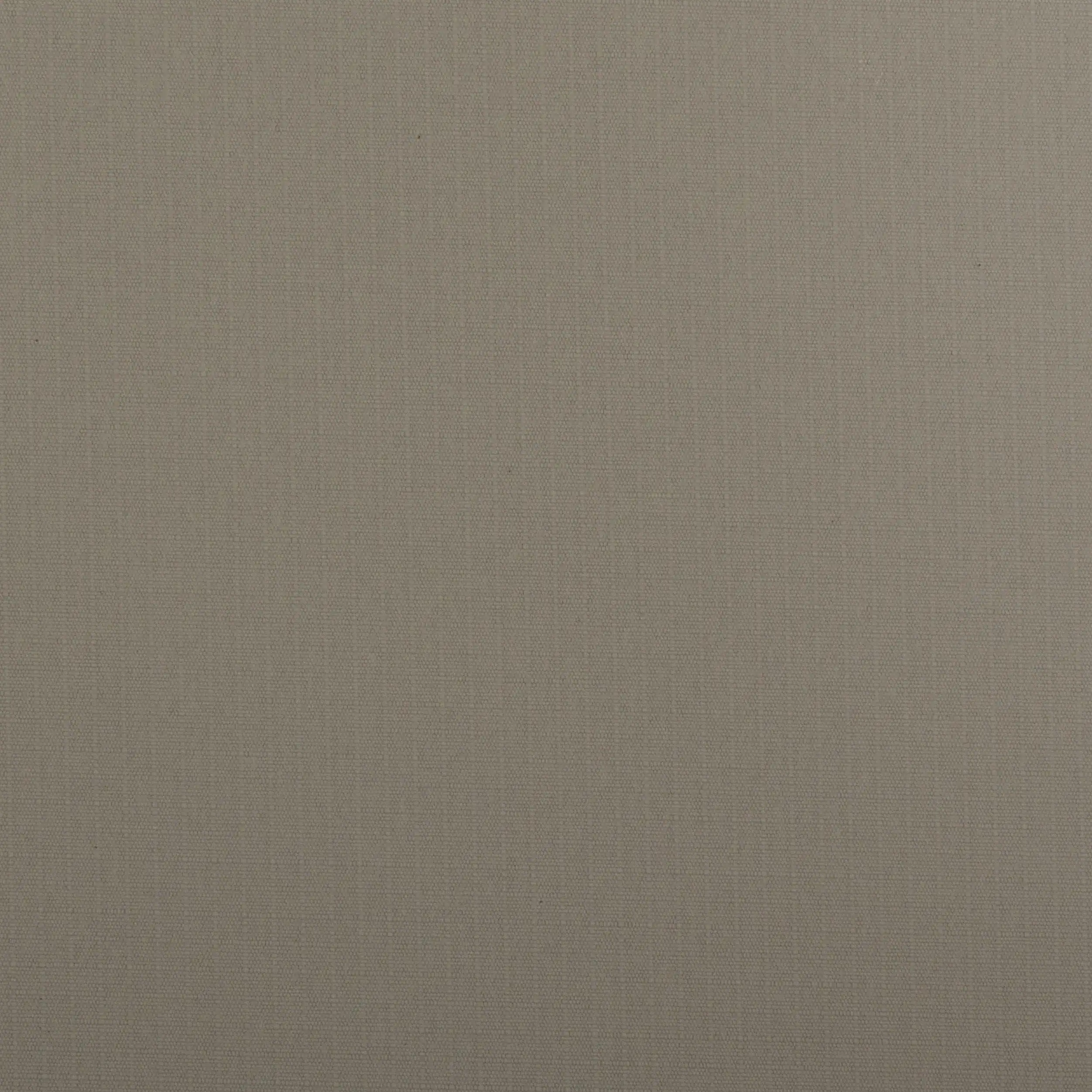 Dove Grey
