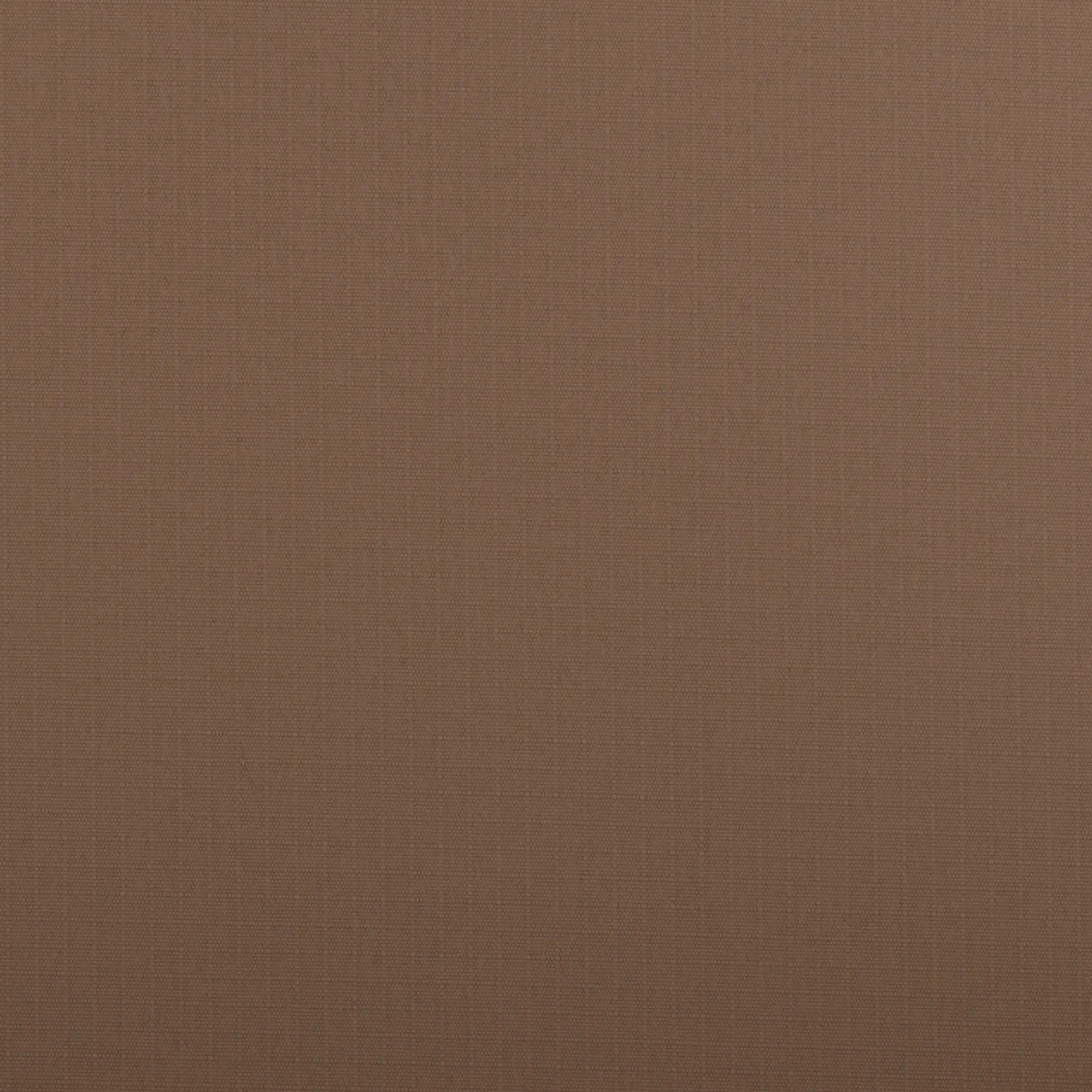 Riptech Auto Brown